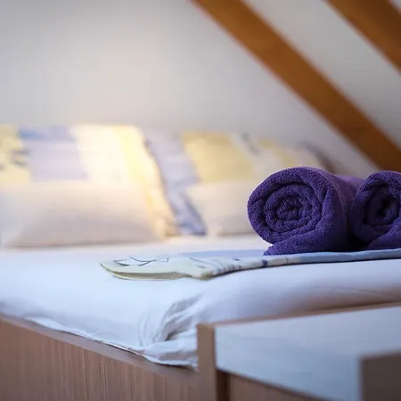 Apartment Capo Family & Capo Studio -Old Town-Parking * Trogir